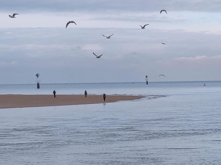La Baleine - Hyper Centre, Charme Et Calme A Deux Pas De La Mer Cabourg Exteriör bild
